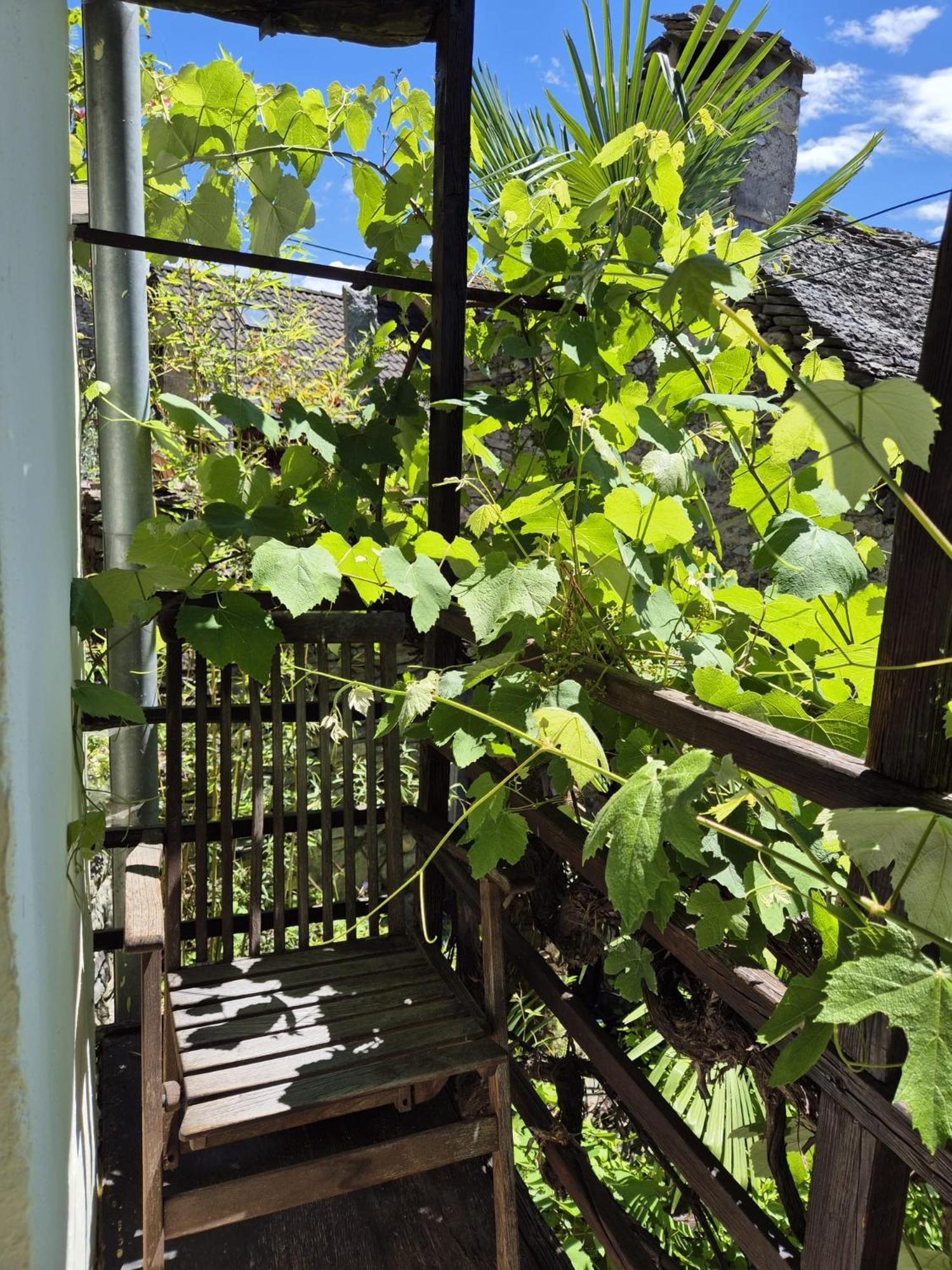 Casa Grillino Lägenhet Locarno Rum bild